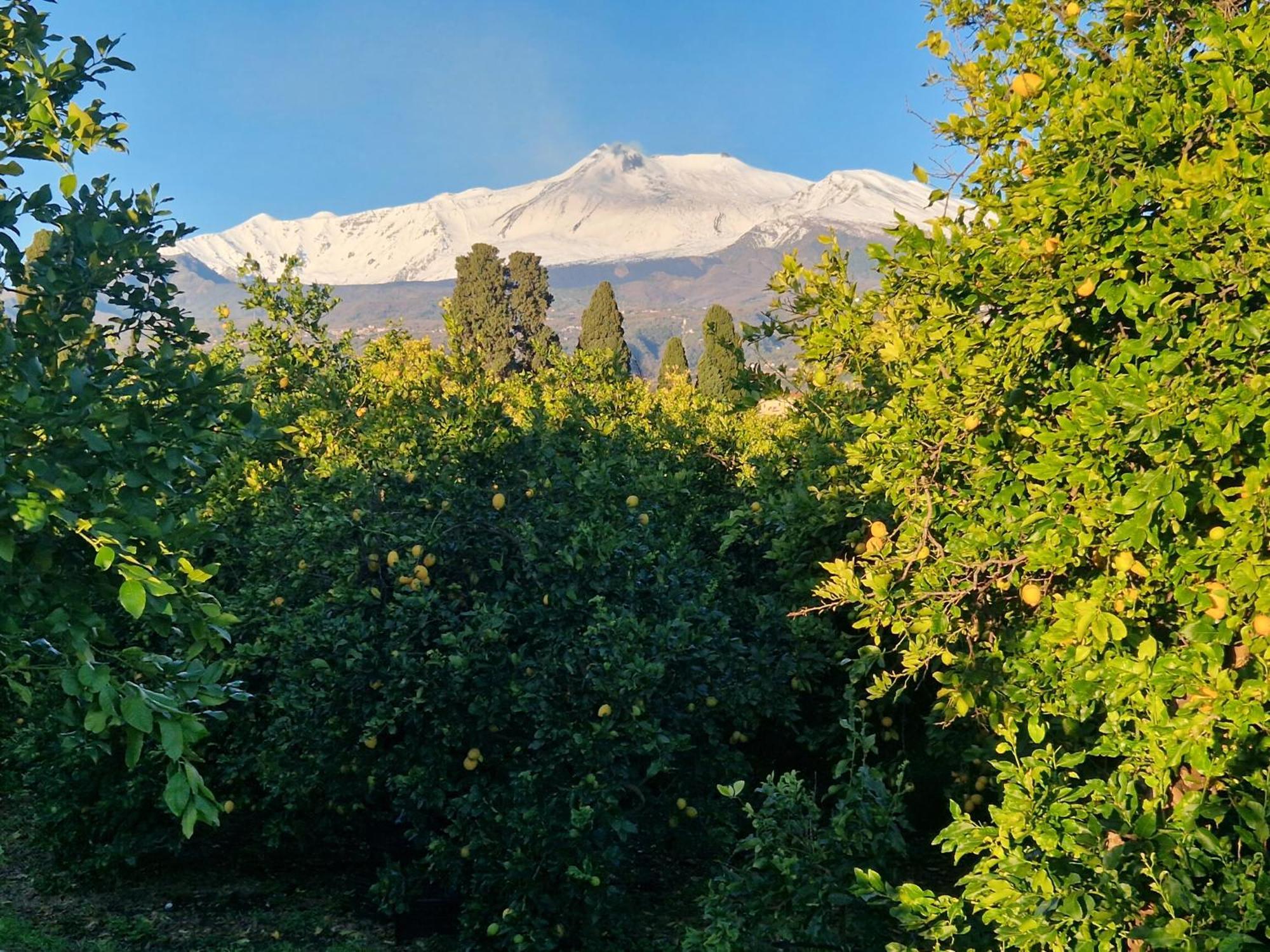 Lumia Villa Riposto Eksteriør bilde